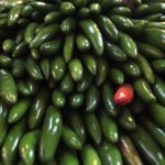 Retiran productos con jalapeño mexicano en EU por salmonela