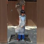 Envuelto para regalo: Vecinos emplayan a presunto ladrón de bicicleta contra un árbol en la CDMX